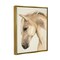 Stupell Industries Country Horse Farm Animal Portrait Black Framed Floater Canvas Wall Art